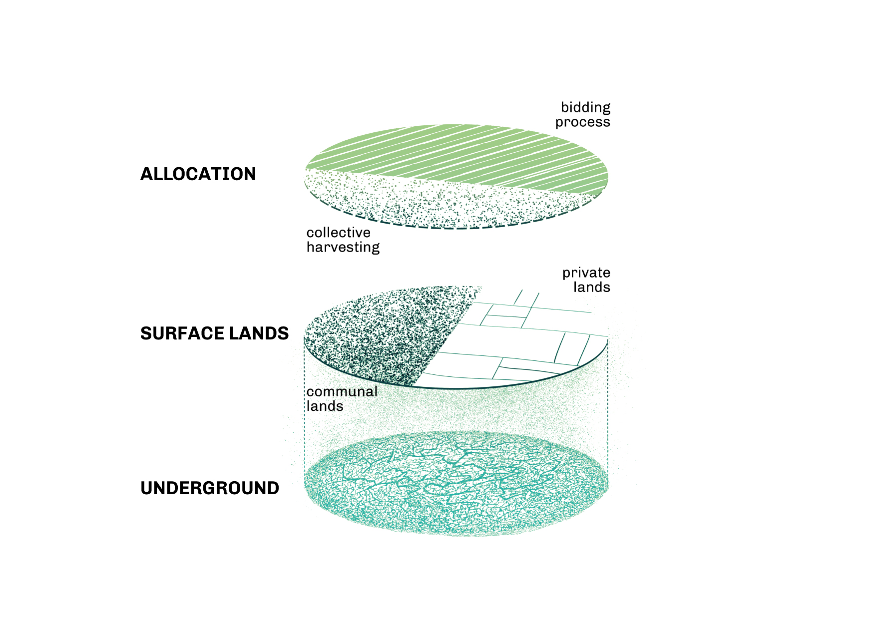 Property arrangement in matsutake commons